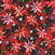 Poinsettia Fabric